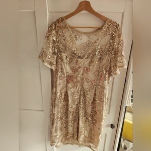 Adrianna Papell sz 14 dress